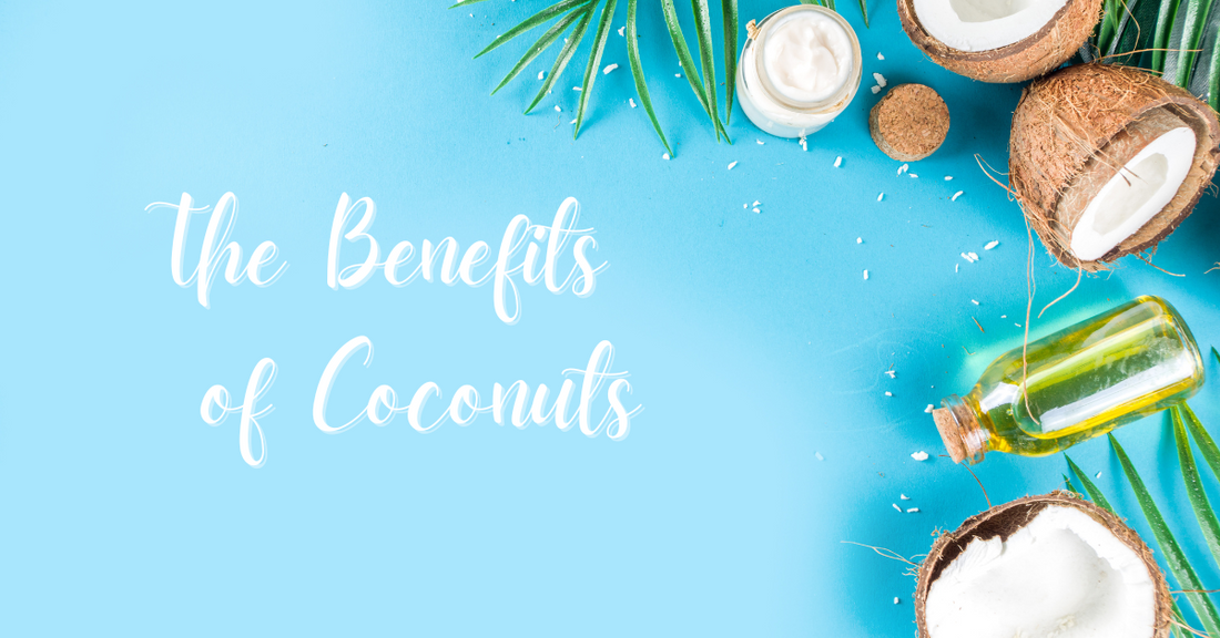 Coconut - The Benefits or Incorporating Coconuts into Your Diet