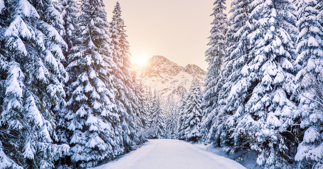 Embracing Winter Wellness: How Winter Affects your Mental Health and what to do about it