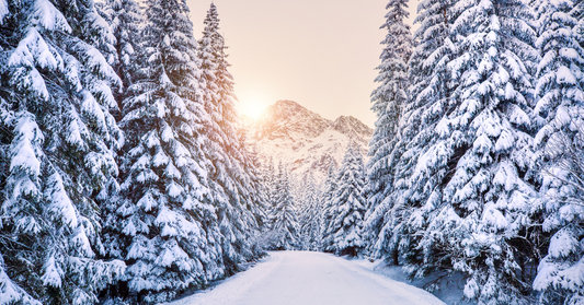 Embracing Winter Wellness: How Winter Affects your Mental Health and what to do about it